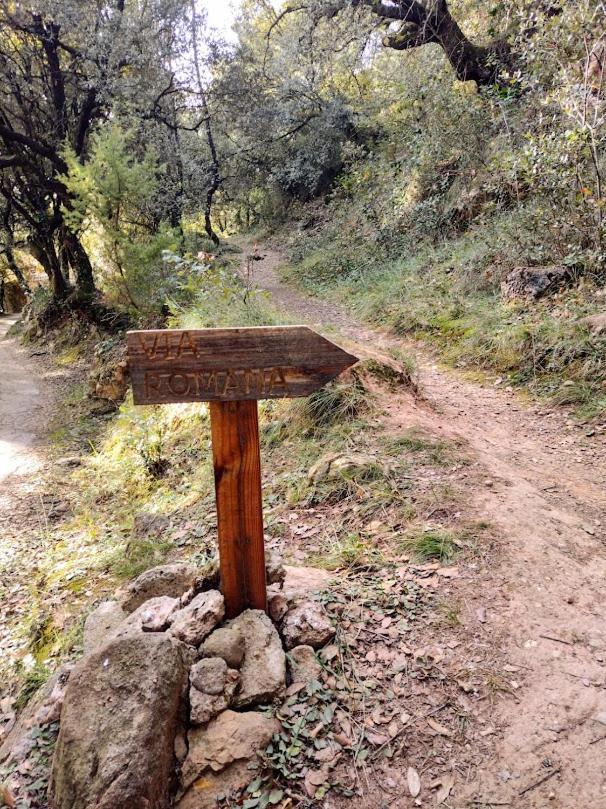 Hostal De Bianya La Vall de Bianya Buitenkant foto